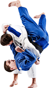 judo